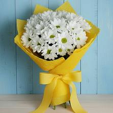 Букет цветов из:  Хризантемы в Веселоярске