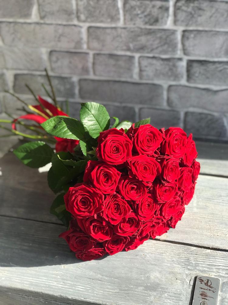 Букет Красные розы Фридом в Веселоярске