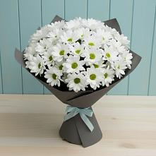 Букет цветов из:  Хризантемы в Веселоярске