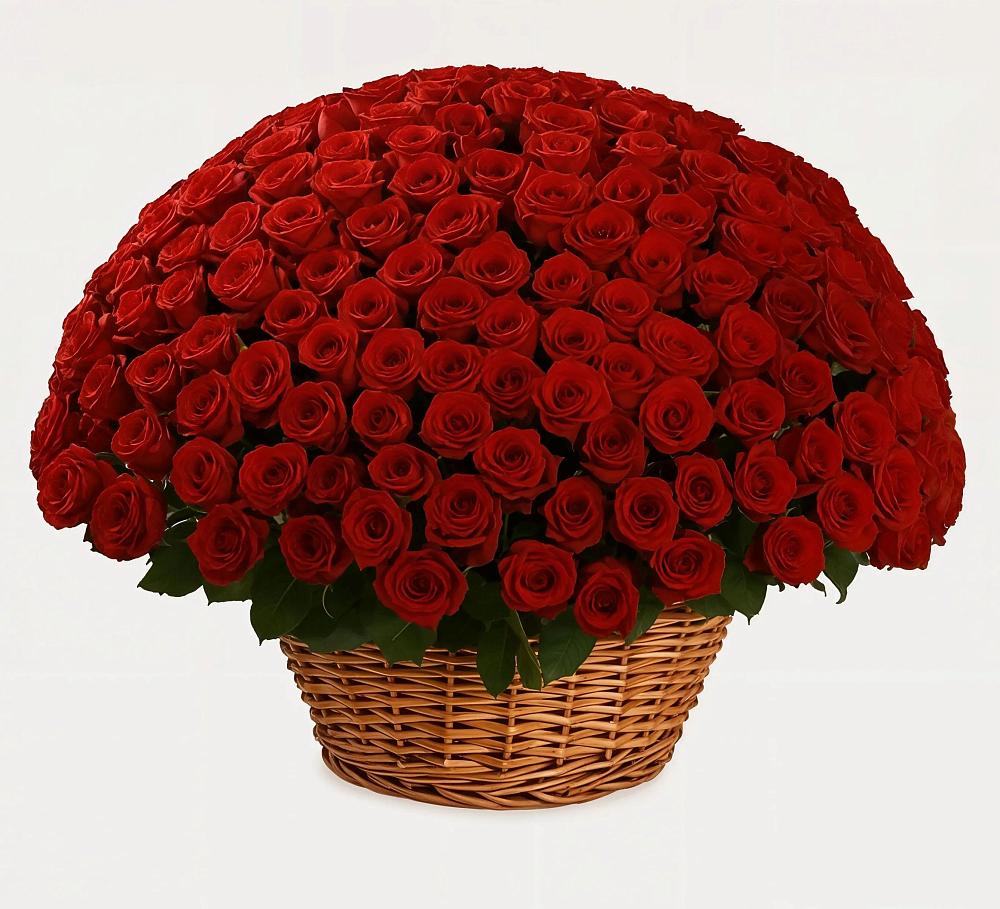 Премиум букет из: Розы в Веселоярске