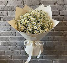 Букет цветов из:  Ромашки в Веселоярске