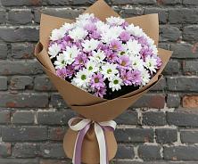 Букет цветов из:  Хризантемы в Веселоярске