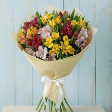 Букет цветов из:  Альстромерии в Веселоярске