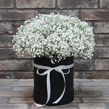 Цветочная композиция из Гипсофила в шляпной коробке в Веселоярске