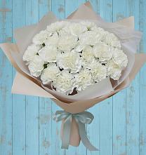 Букет цветов из:  Гвоздики в Веселоярске